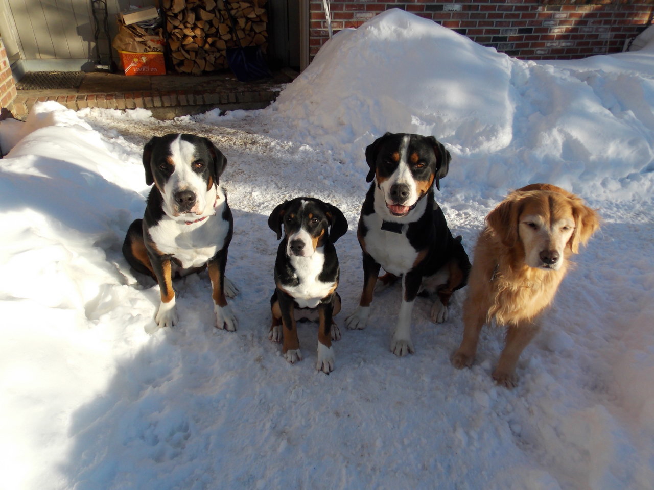 DSCN2316.jpg