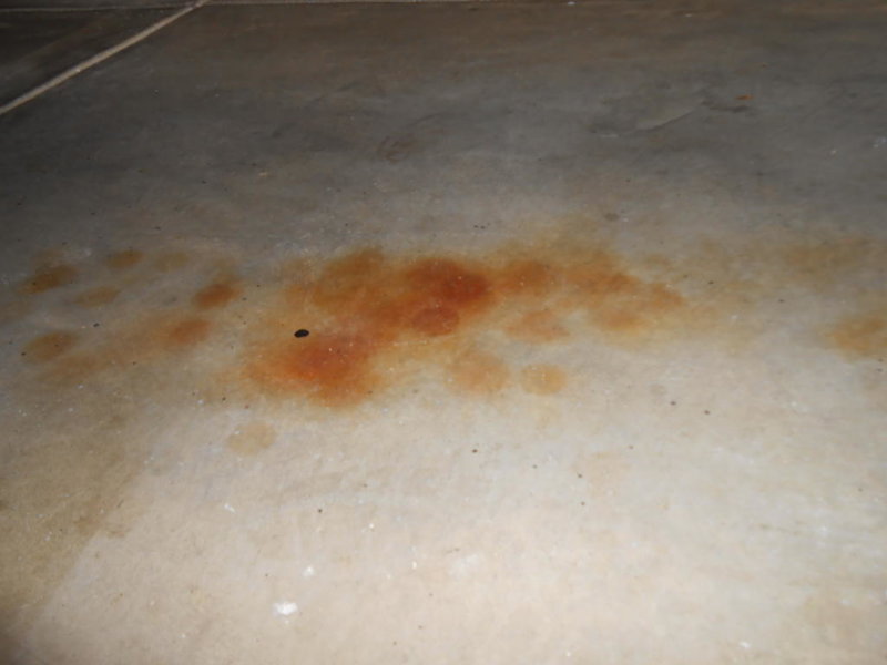 DSCN2485.jpg