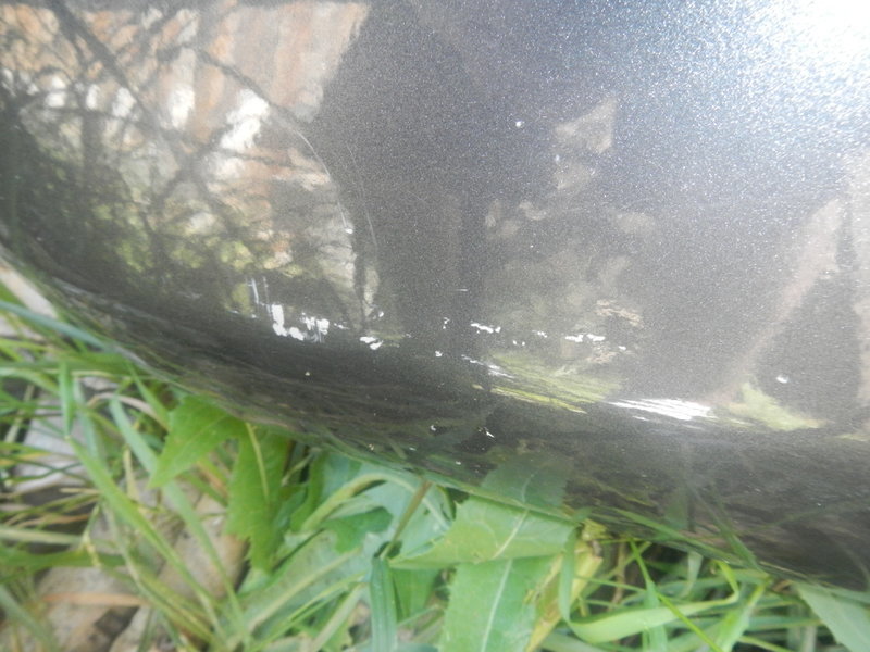 DSCN2670.jpg