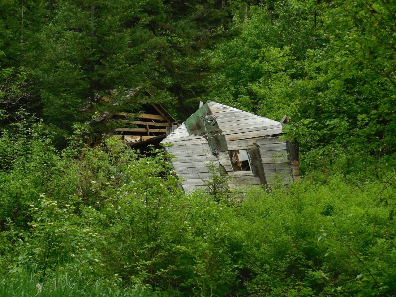 DSCN2869.jpg