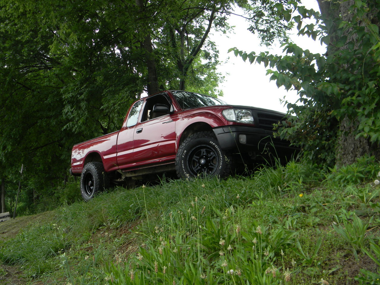 DSCN2919.jpg