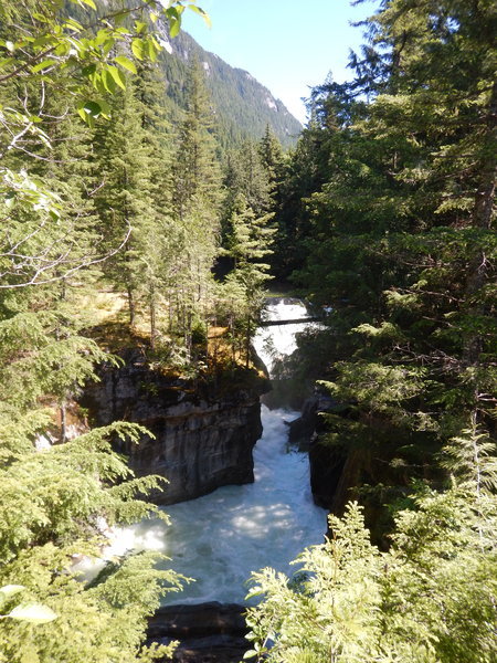 DSCN3017.jpg
