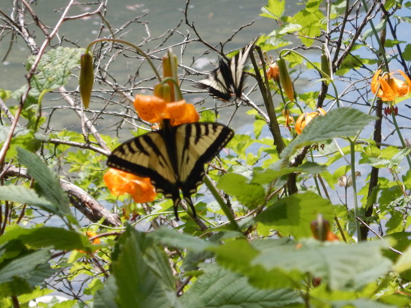 DSCN3182.jpg