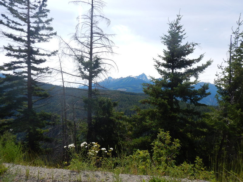 DSCN3313.jpg