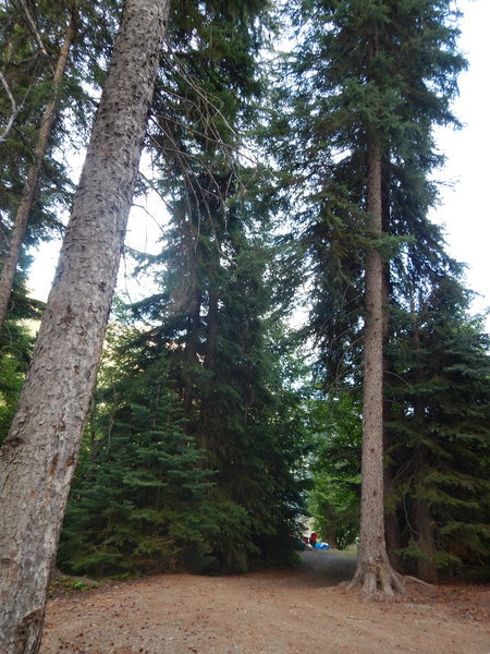 DSCN3350.jpg