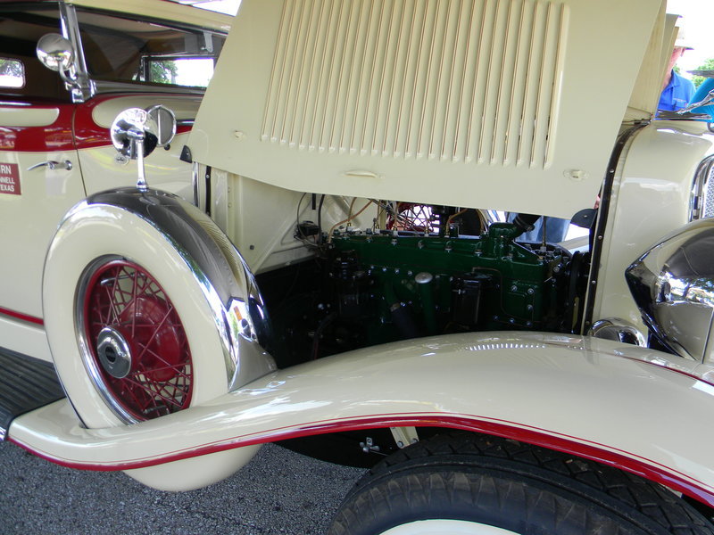 DSCN3370.jpg