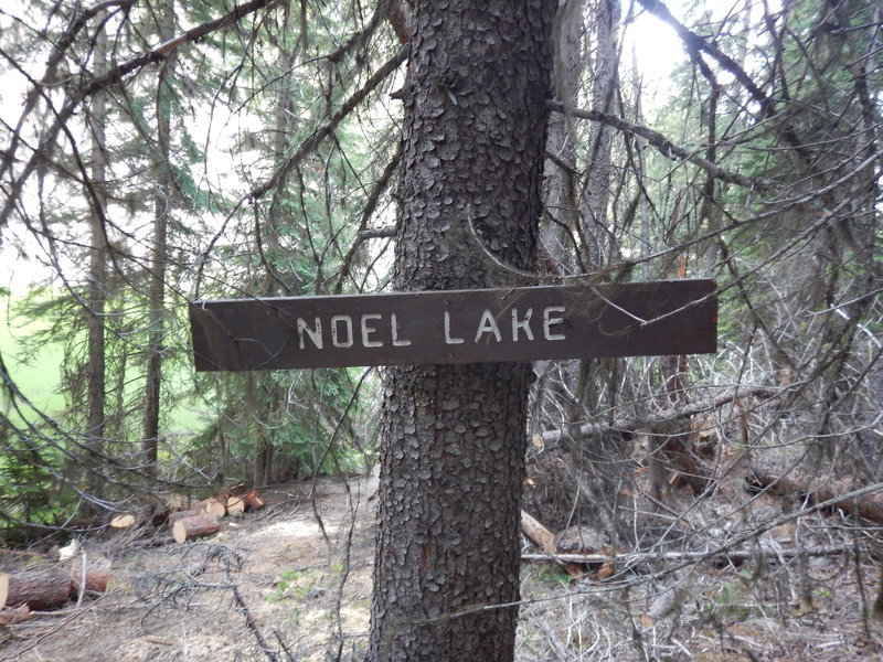 DSCN3416.jpg