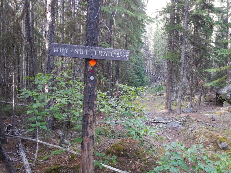 DSCN3463.jpg