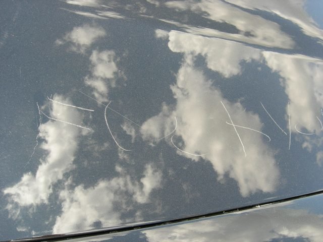 DSCN3471.jpg
