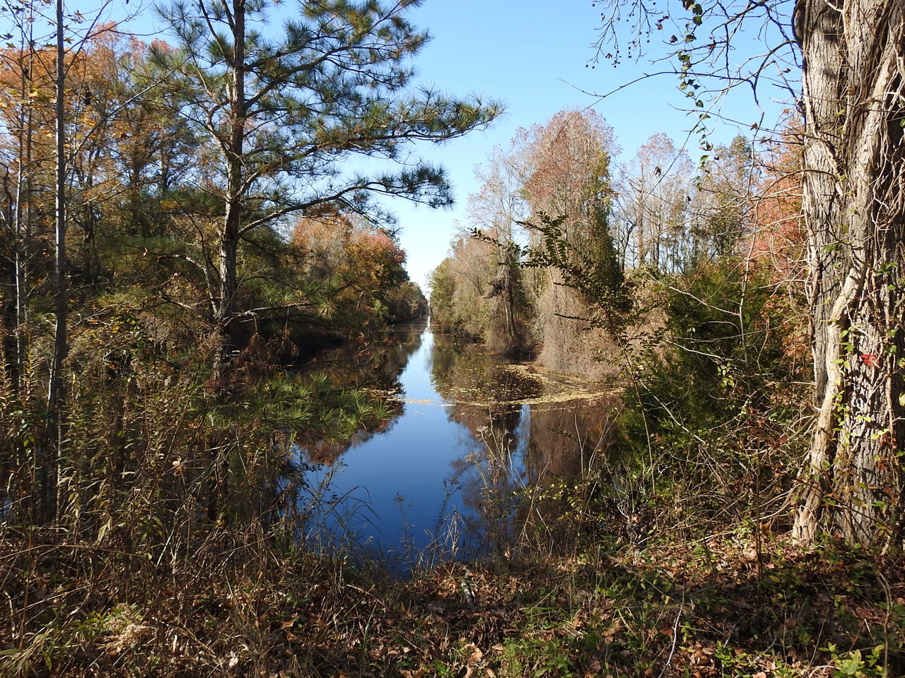 DSCN3491.jpg