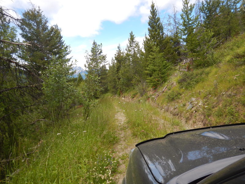 DSCN3564.jpg