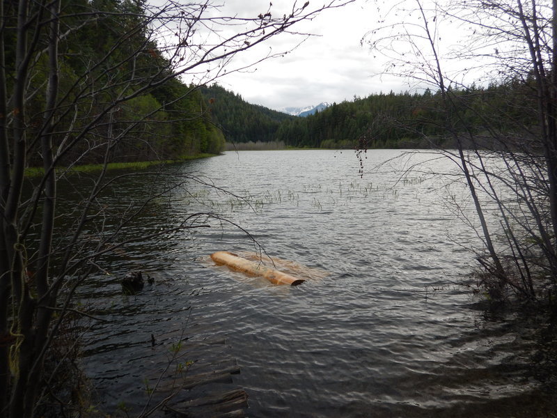DSCN3580.jpg