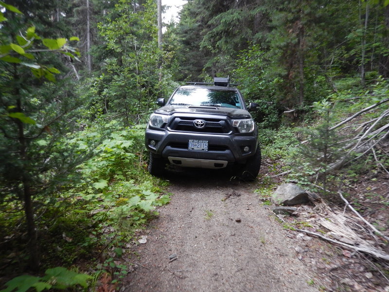 DSCN3583.jpg