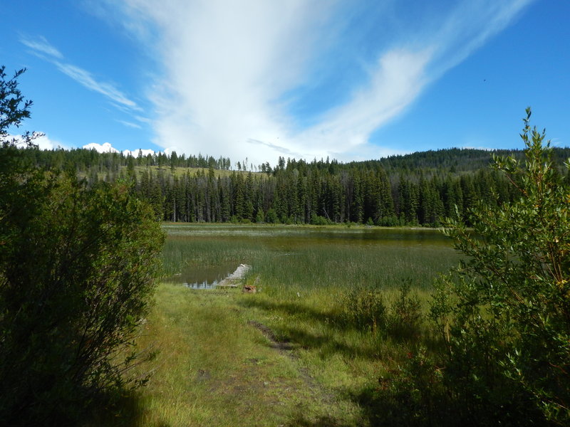 DSCN3879.jpg