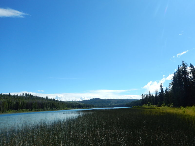 DSCN3886.jpg
