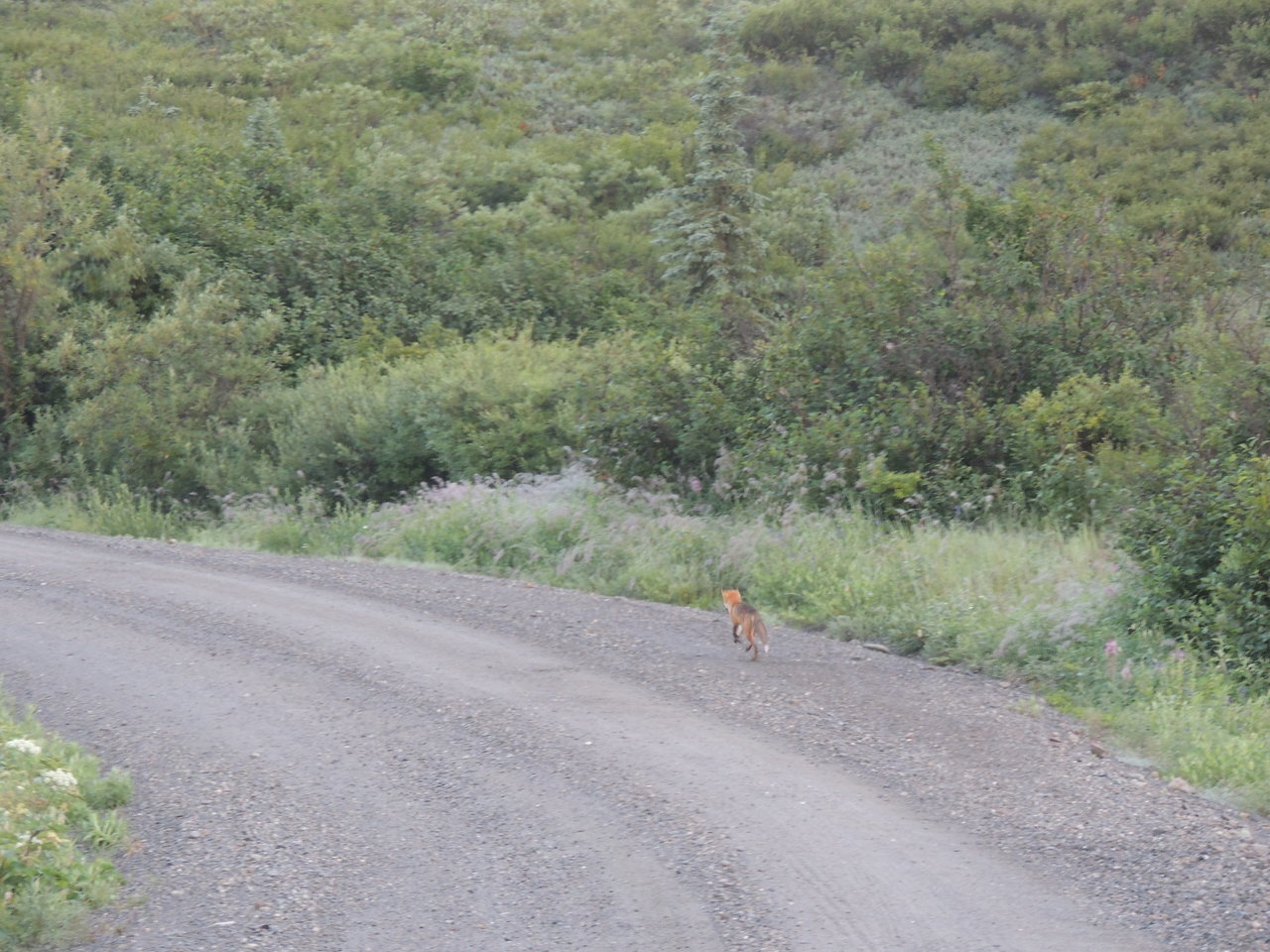 DSCN3993.jpg