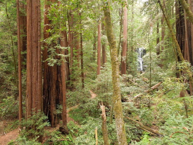 DSCN4063.jpg