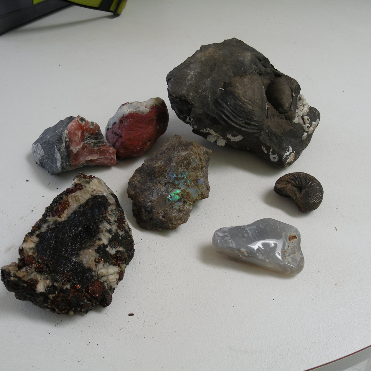 DSCN4226.jpg