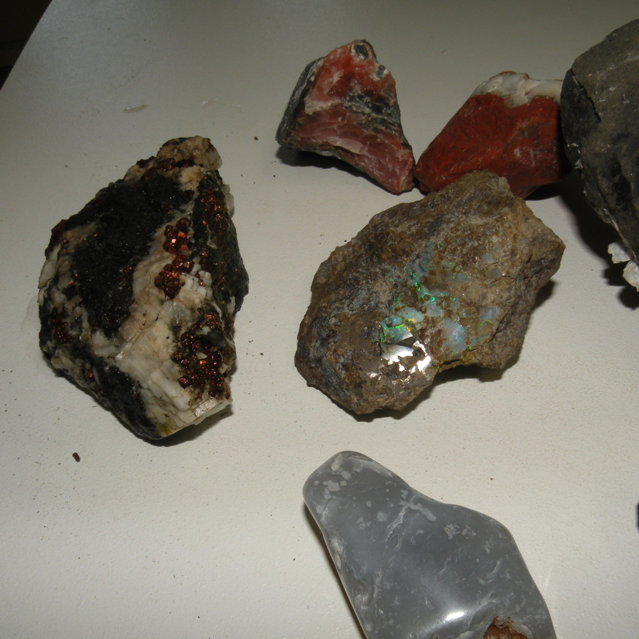 DSCN4228.jpg