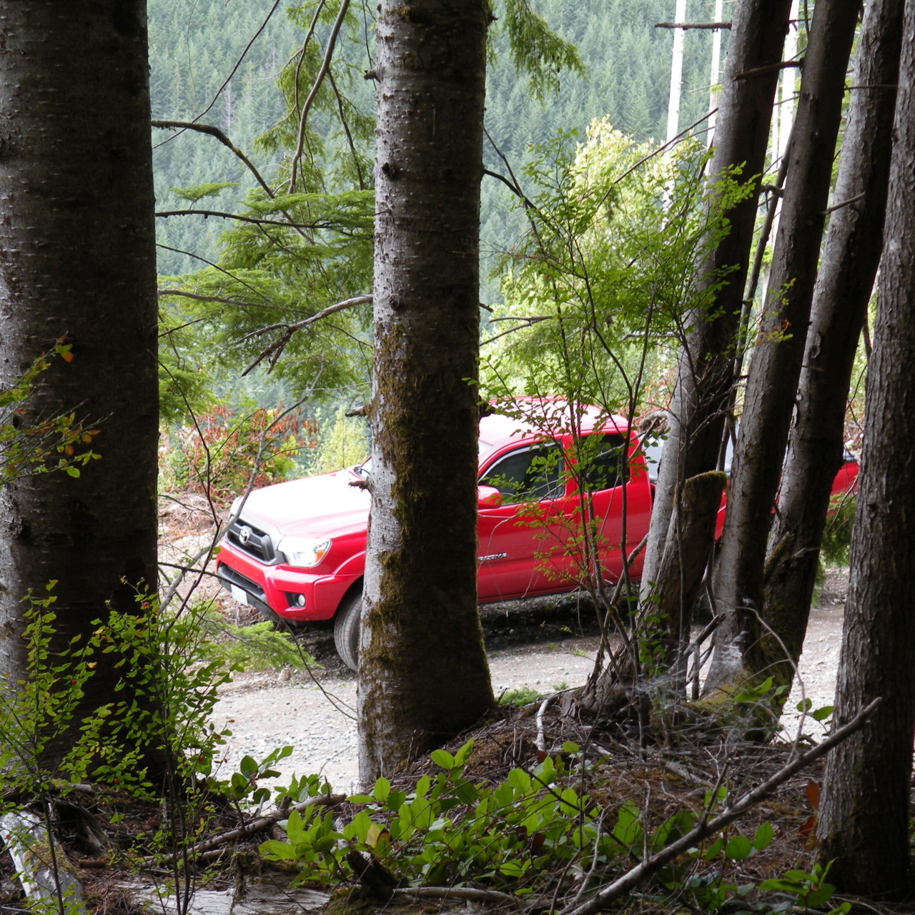 DSCN4242.jpg