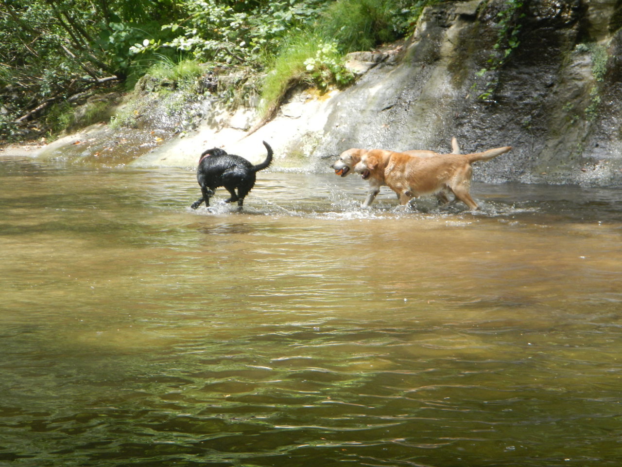 DSCN4338.jpg