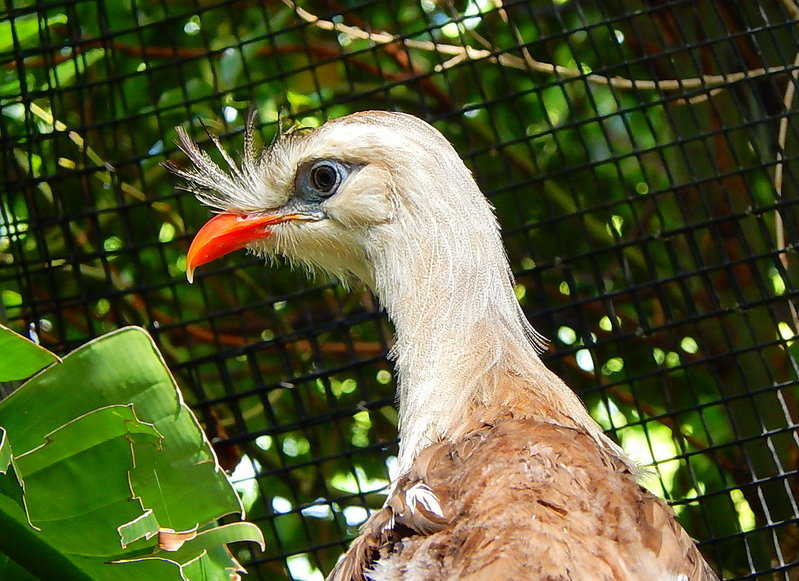 DSCN4527.jpg