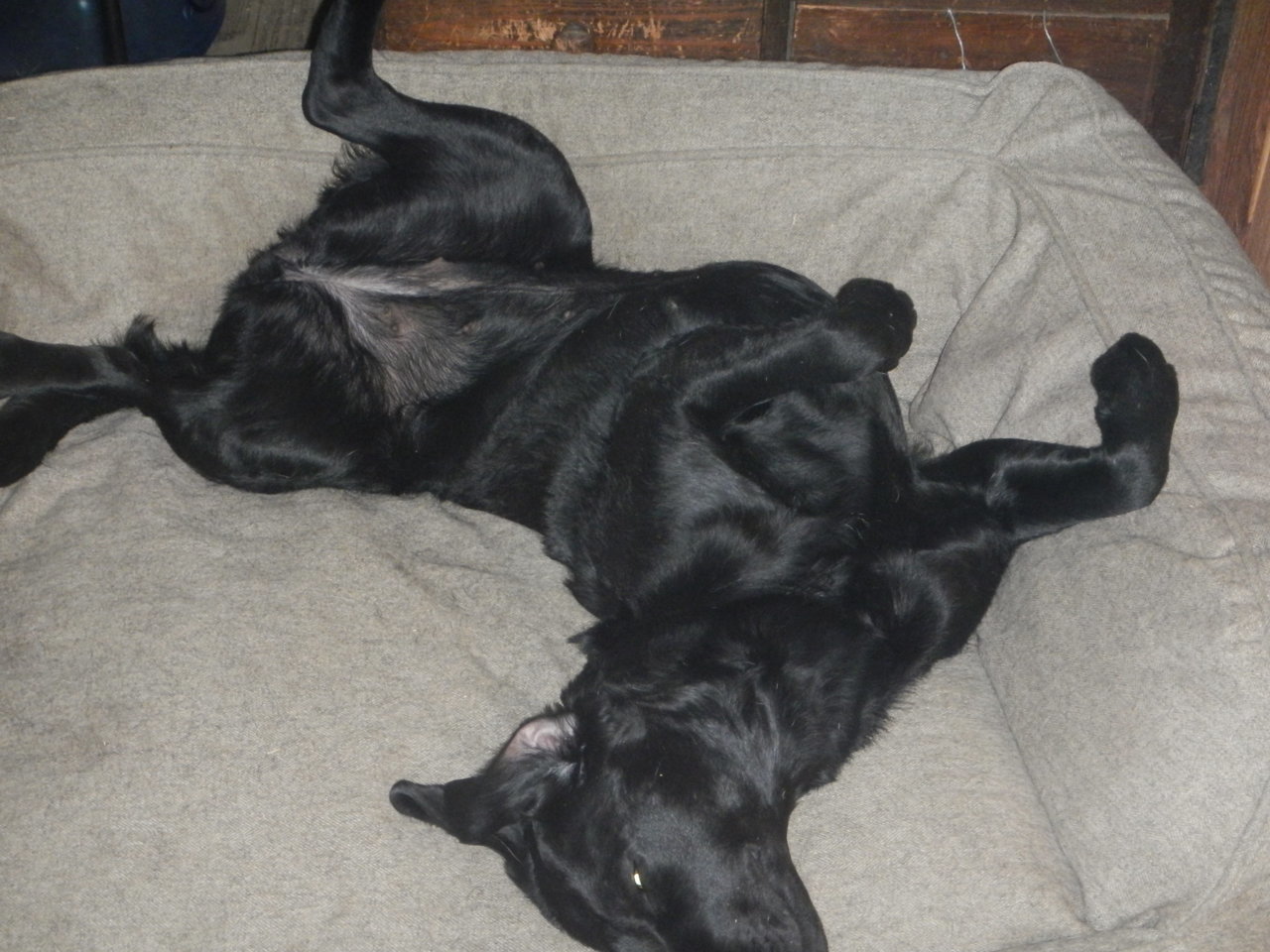 DSCN4582.jpg