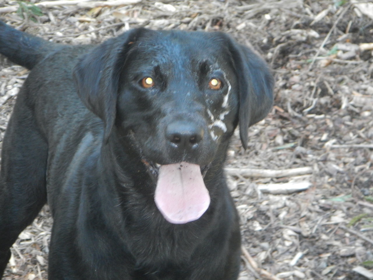 DSCN4591.jpg