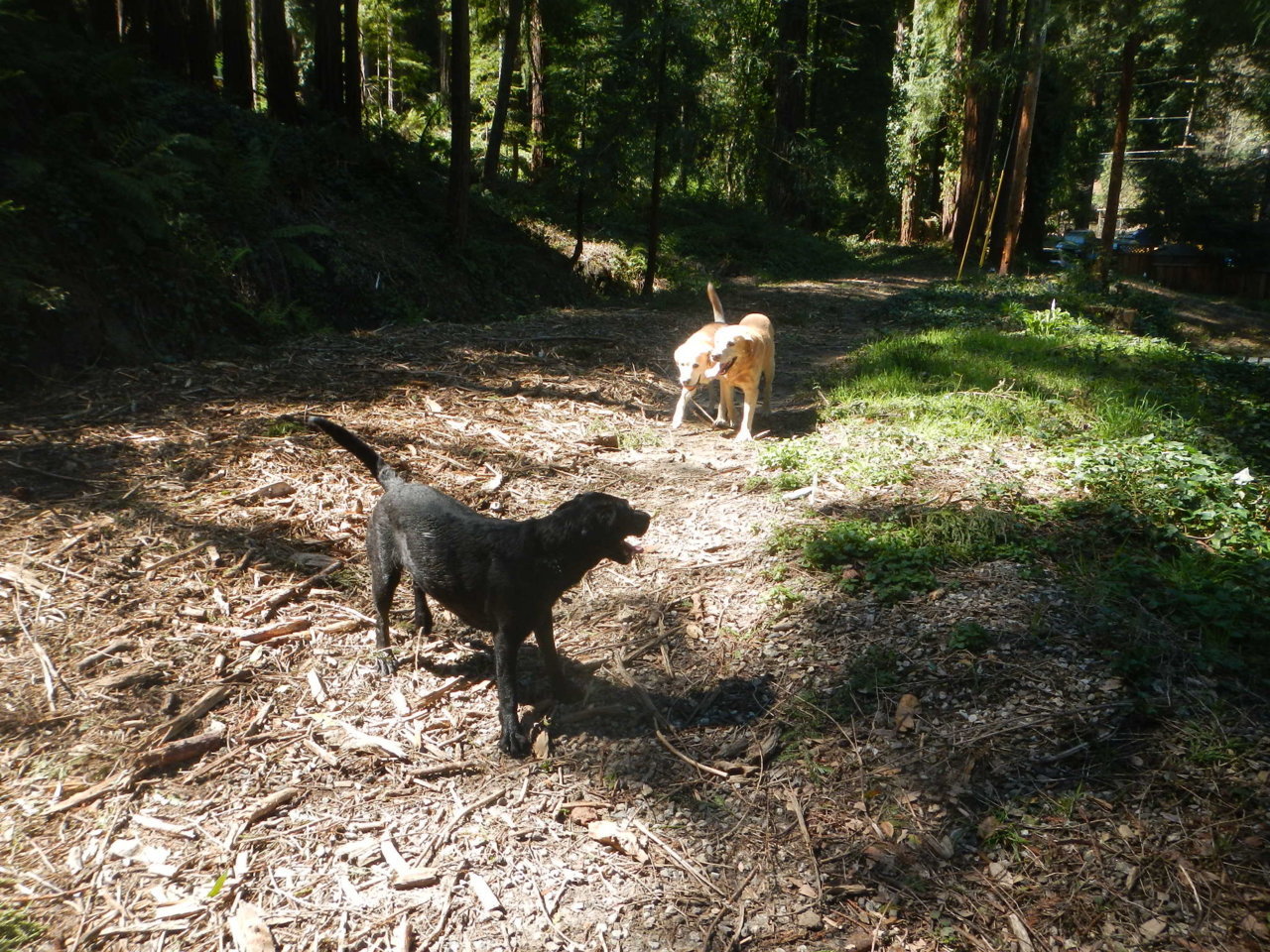 DSCN4603.jpg