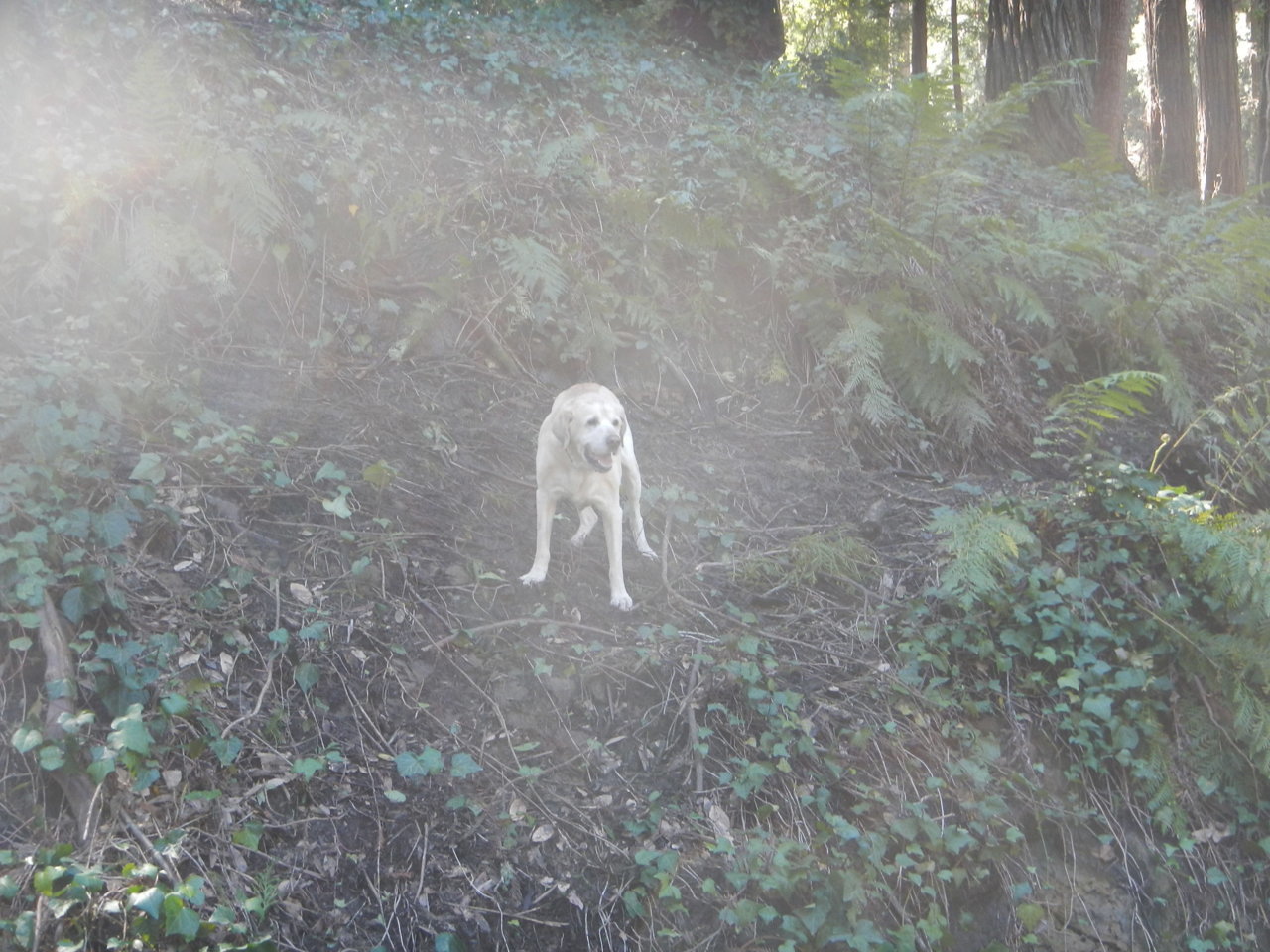 DSCN4604.jpg