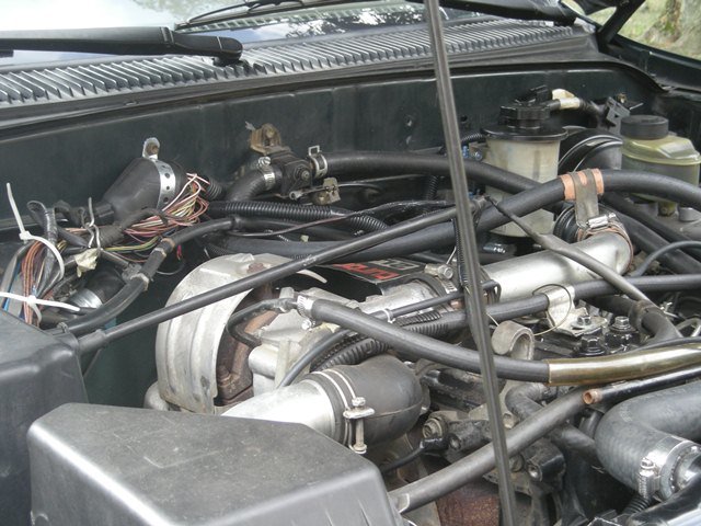 DSCN4612.jpg
