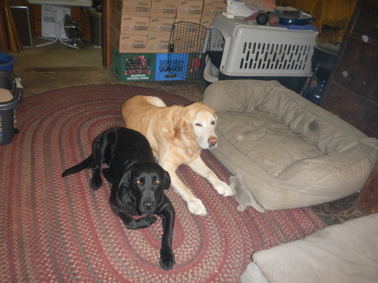 DSCN4613.jpg