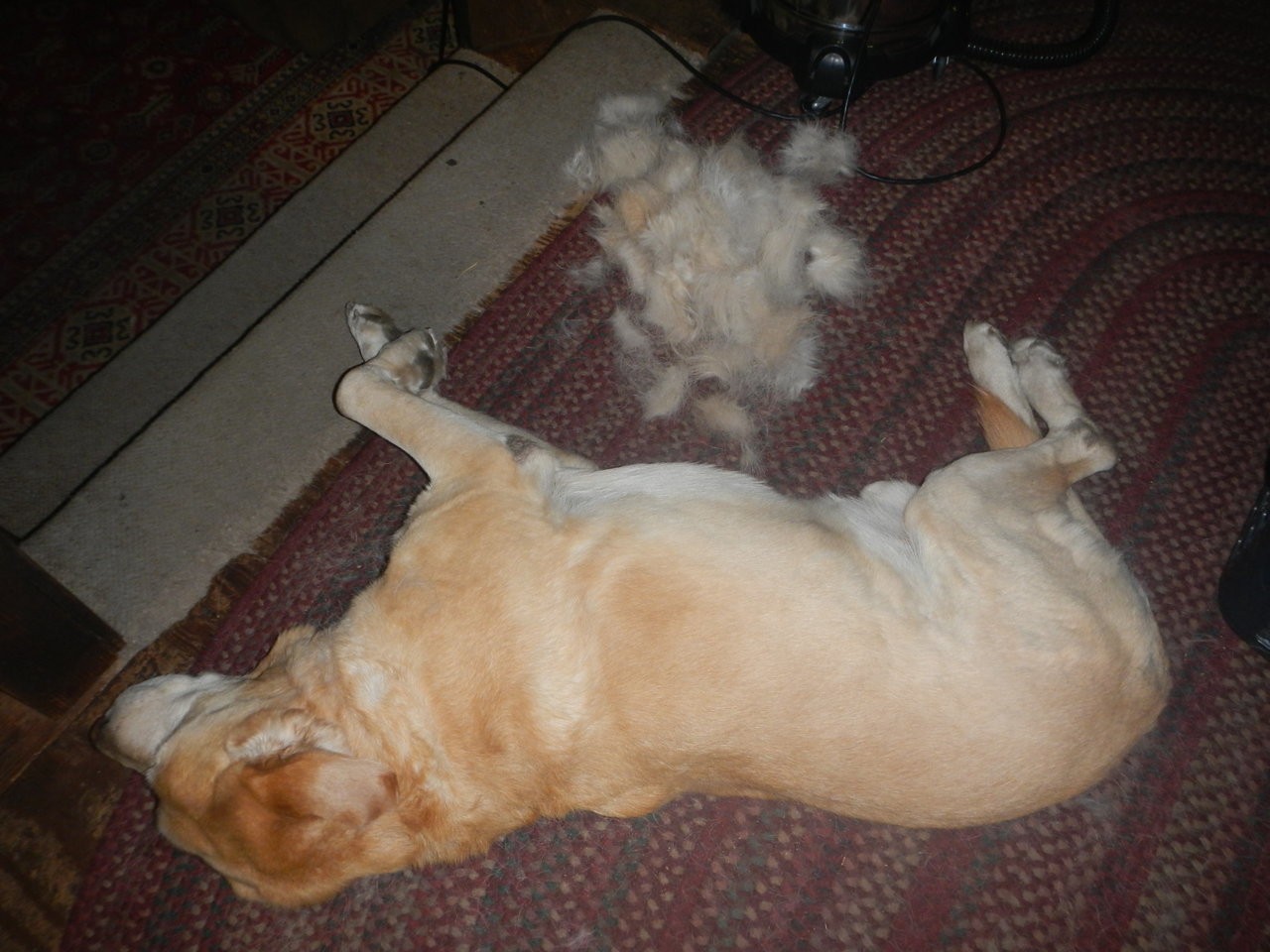 DSCN4674.jpg