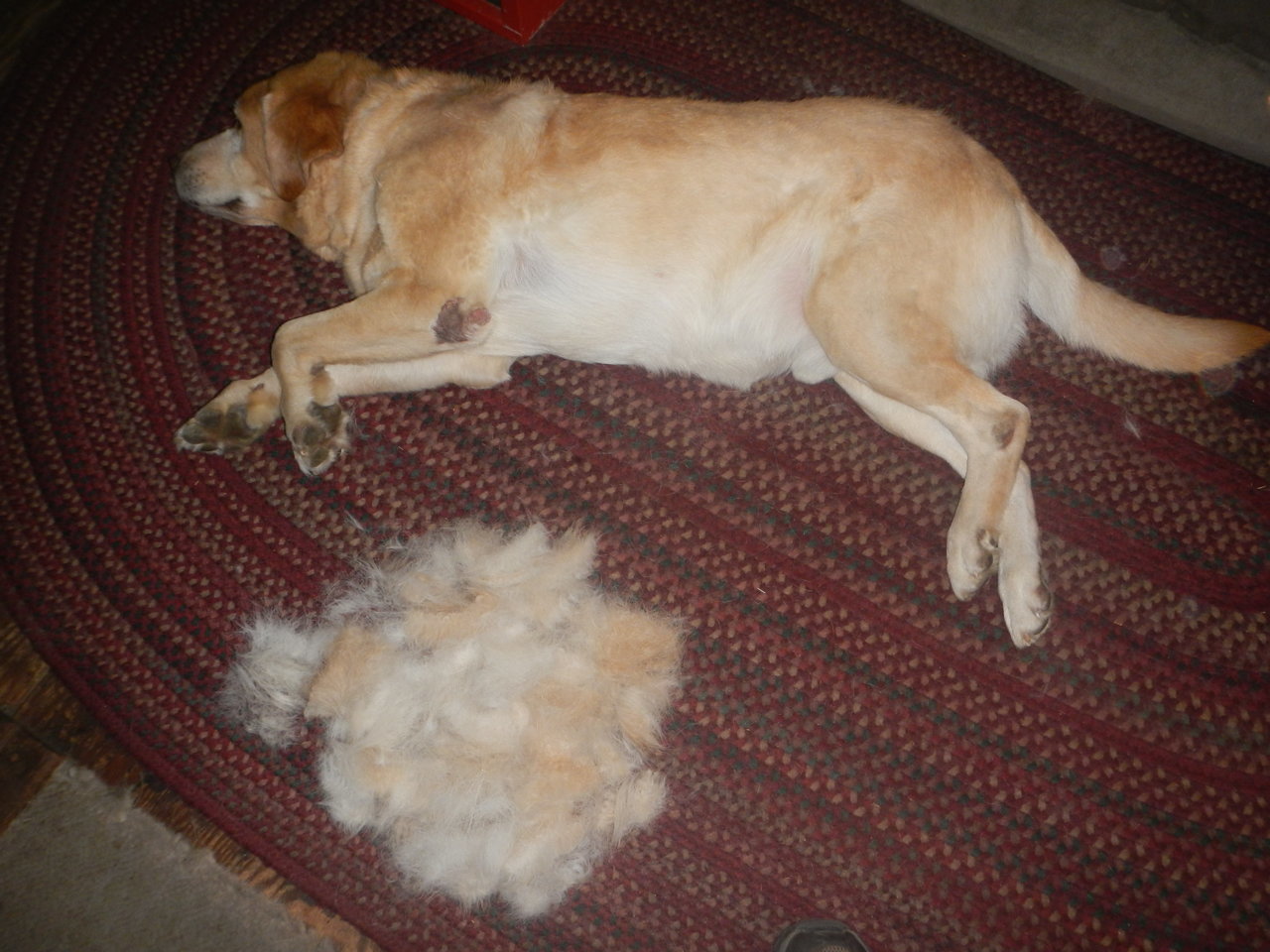 DSCN4675.jpg
