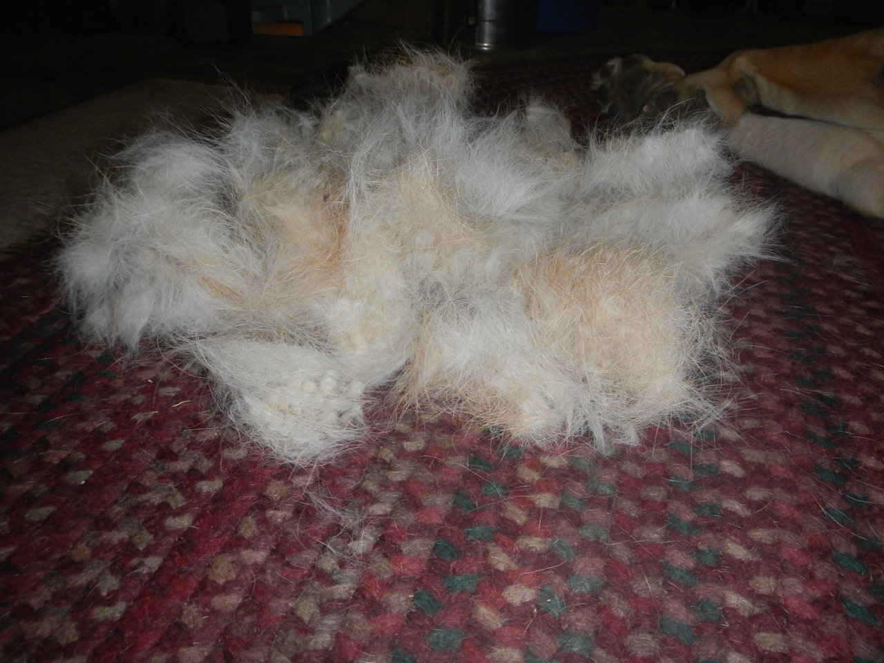 DSCN4676.jpg