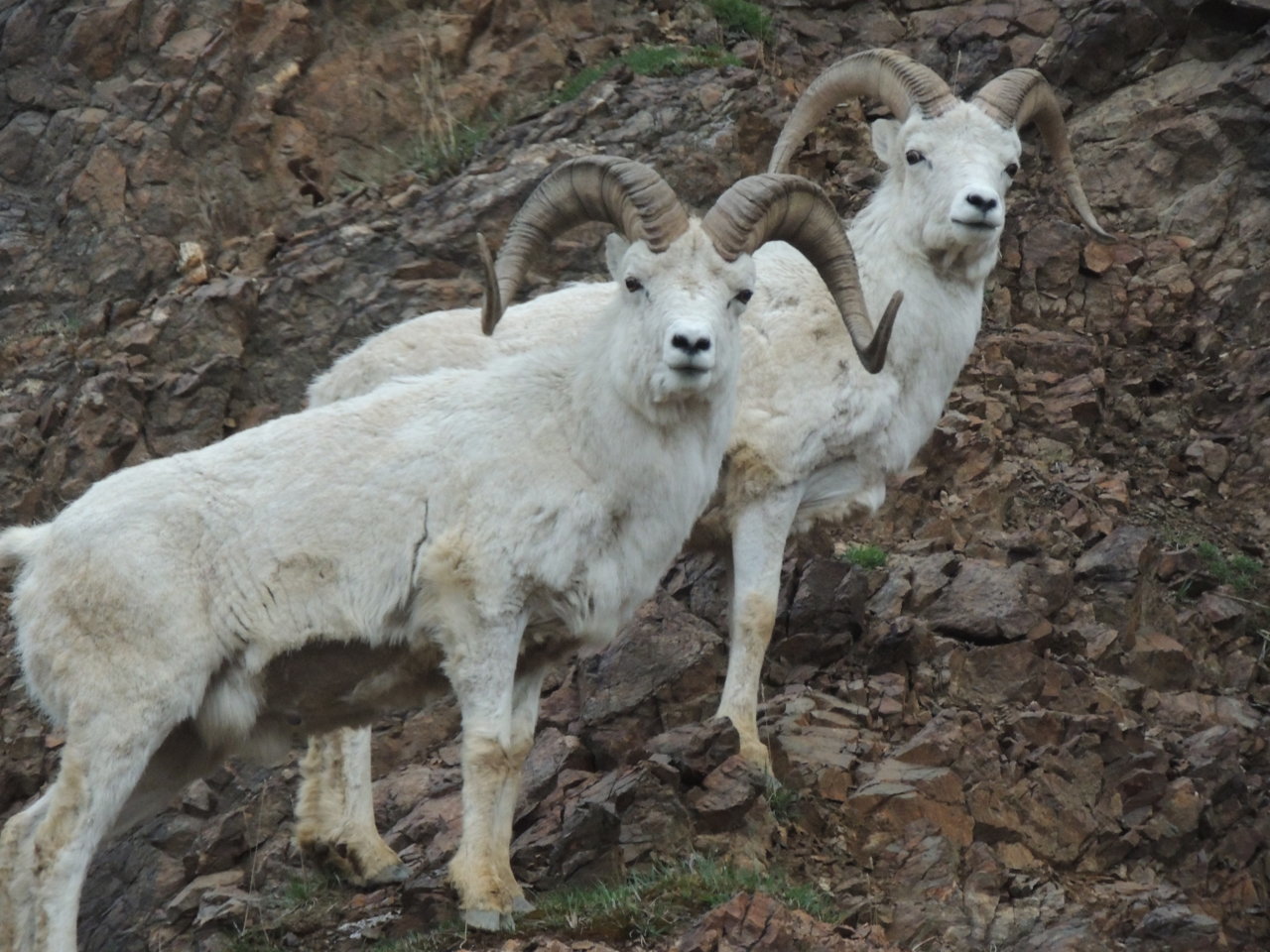 DSCN4898.jpg