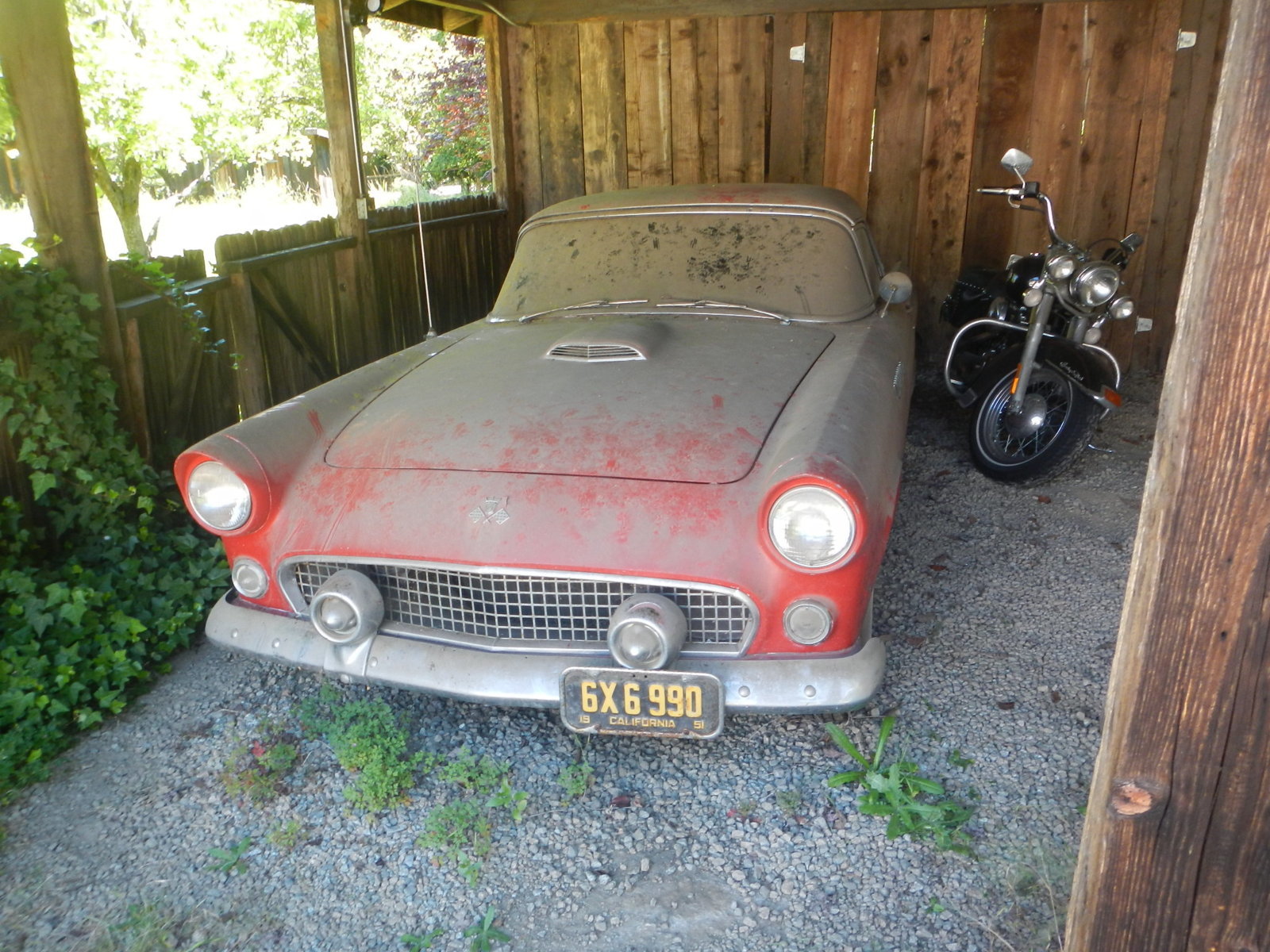 DSCN5031.jpg