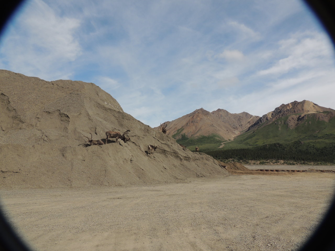 DSCN5084.jpg