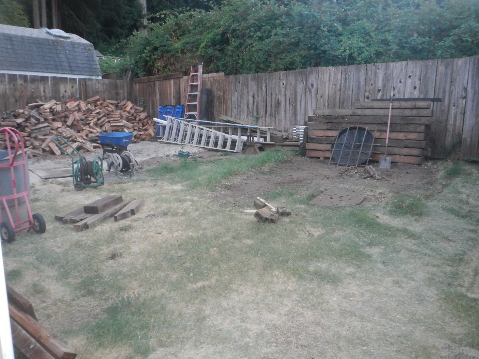 DSCN5139.jpg