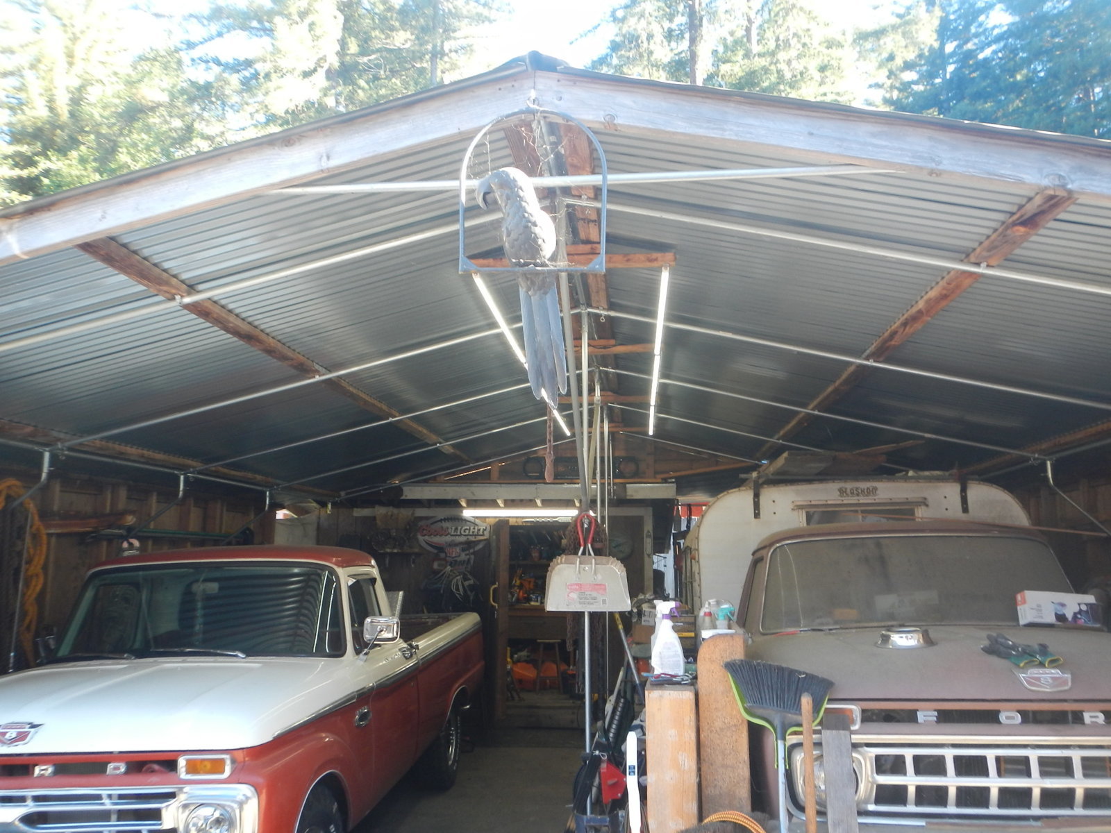 DSCN5179.jpg