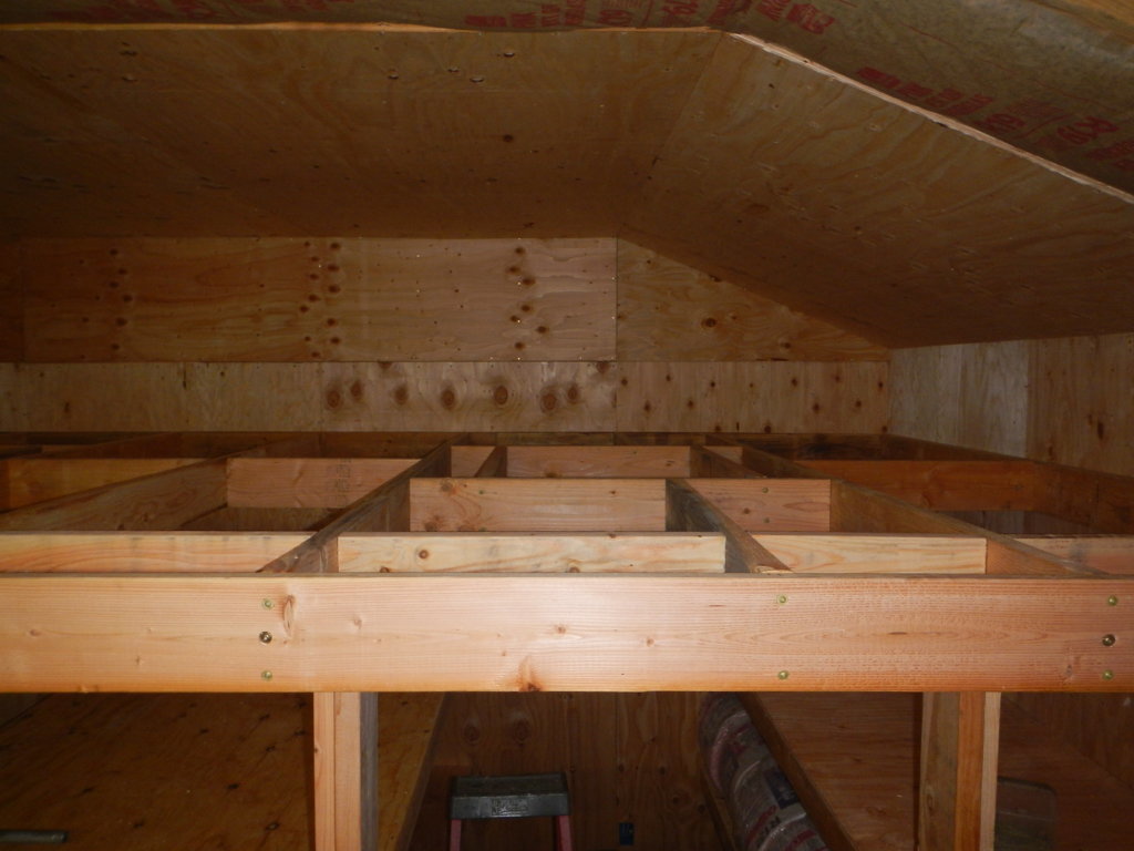 DSCN5223.jpg