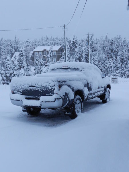 DSCN5286.jpg
