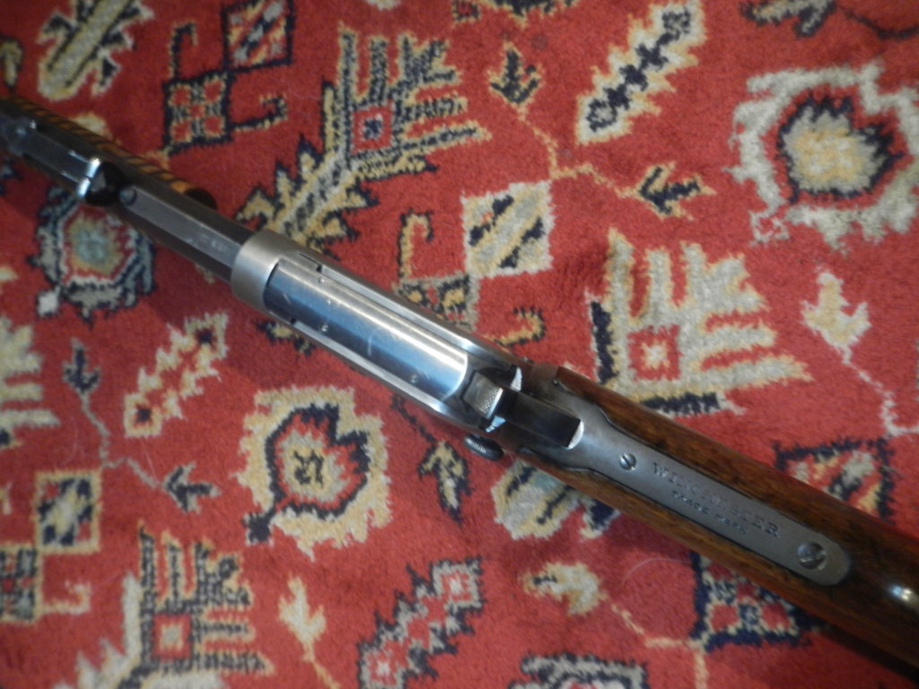 DSCN5288.jpg