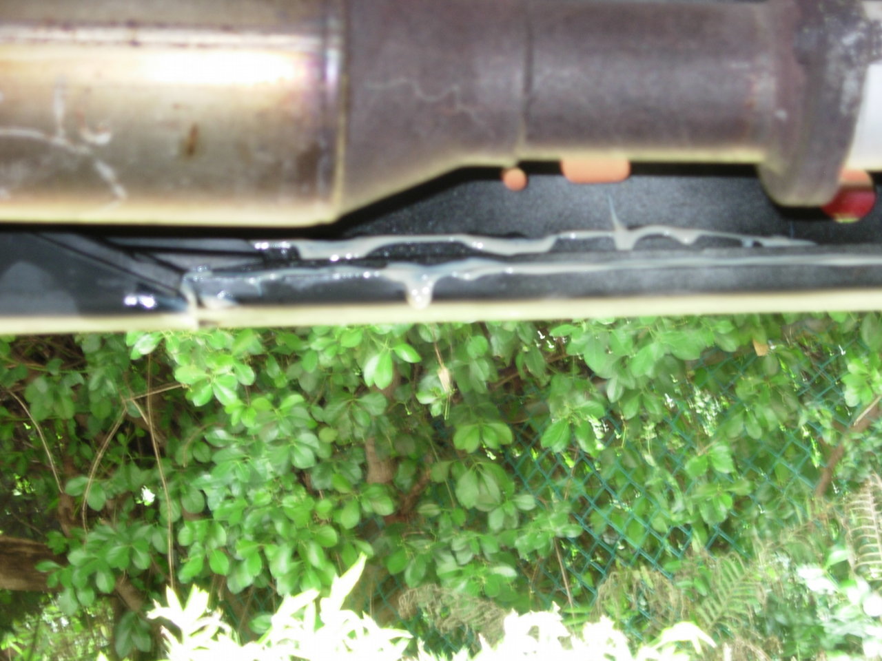 DSCN5351.jpg