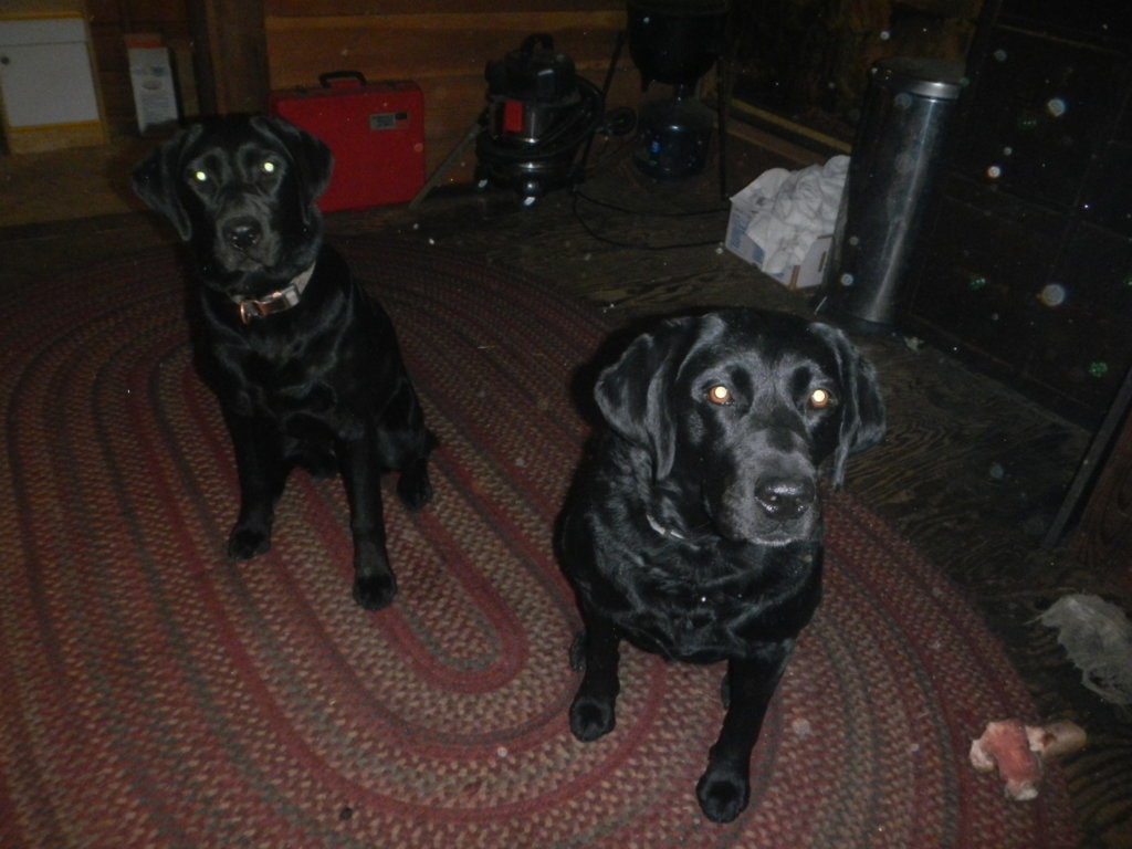 DSCN5500.jpg