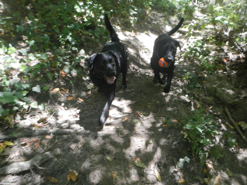 DSCN5535.jpg