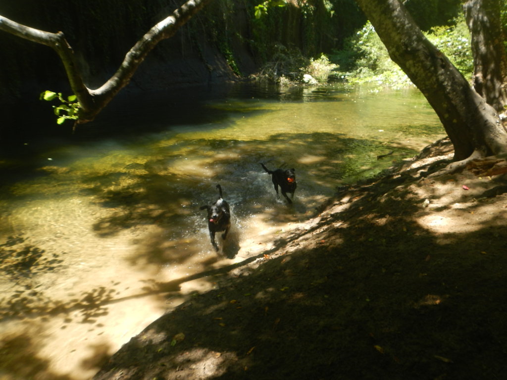 DSCN5536.jpg