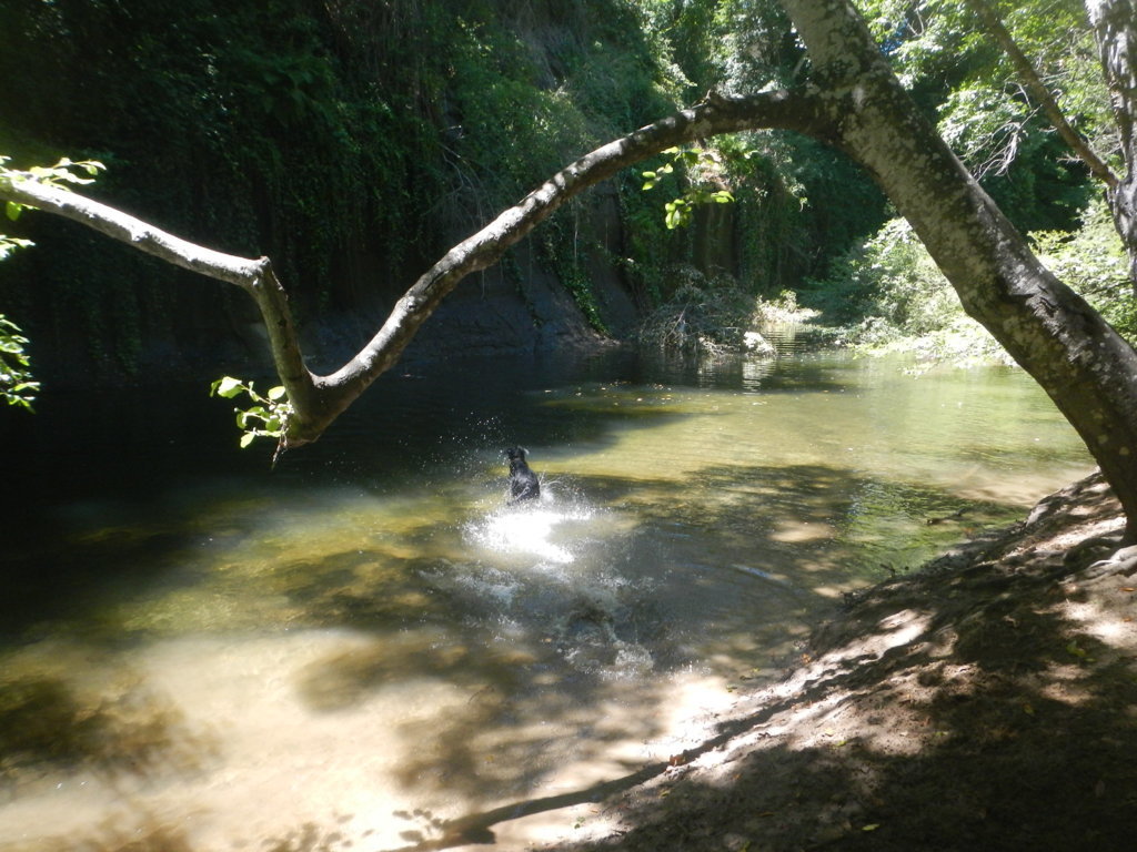 DSCN5537.jpg