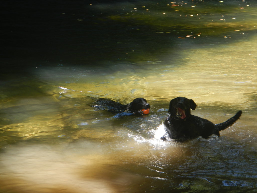 DSCN5539.jpg