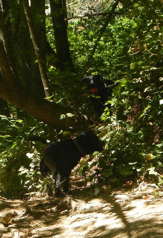 DSCN5542.jpg